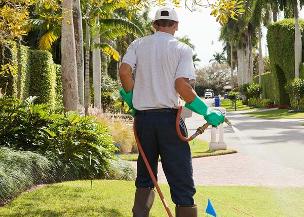 About Smithton PA Pest Control